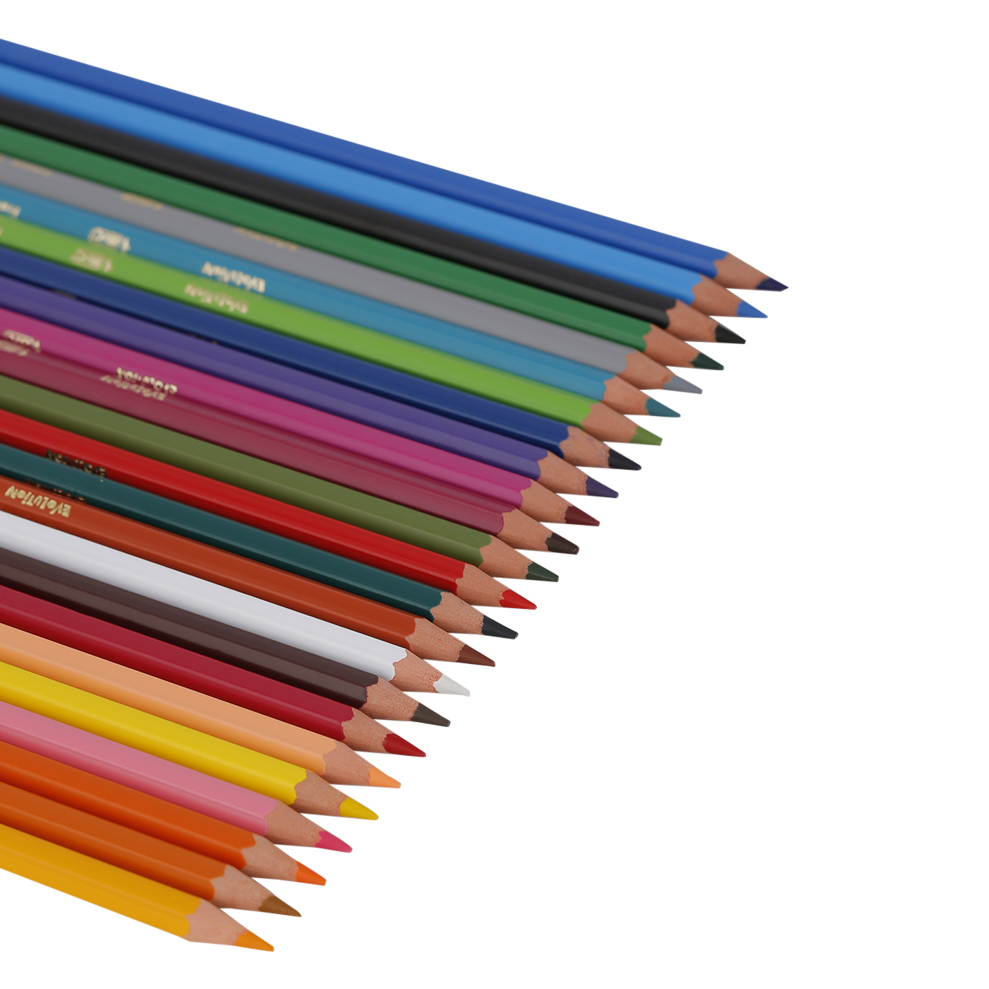 Kids Evolution Coloring Pencils 24-set