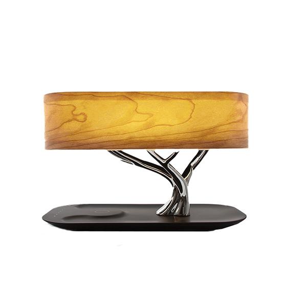 Ampulla tree on sale of light