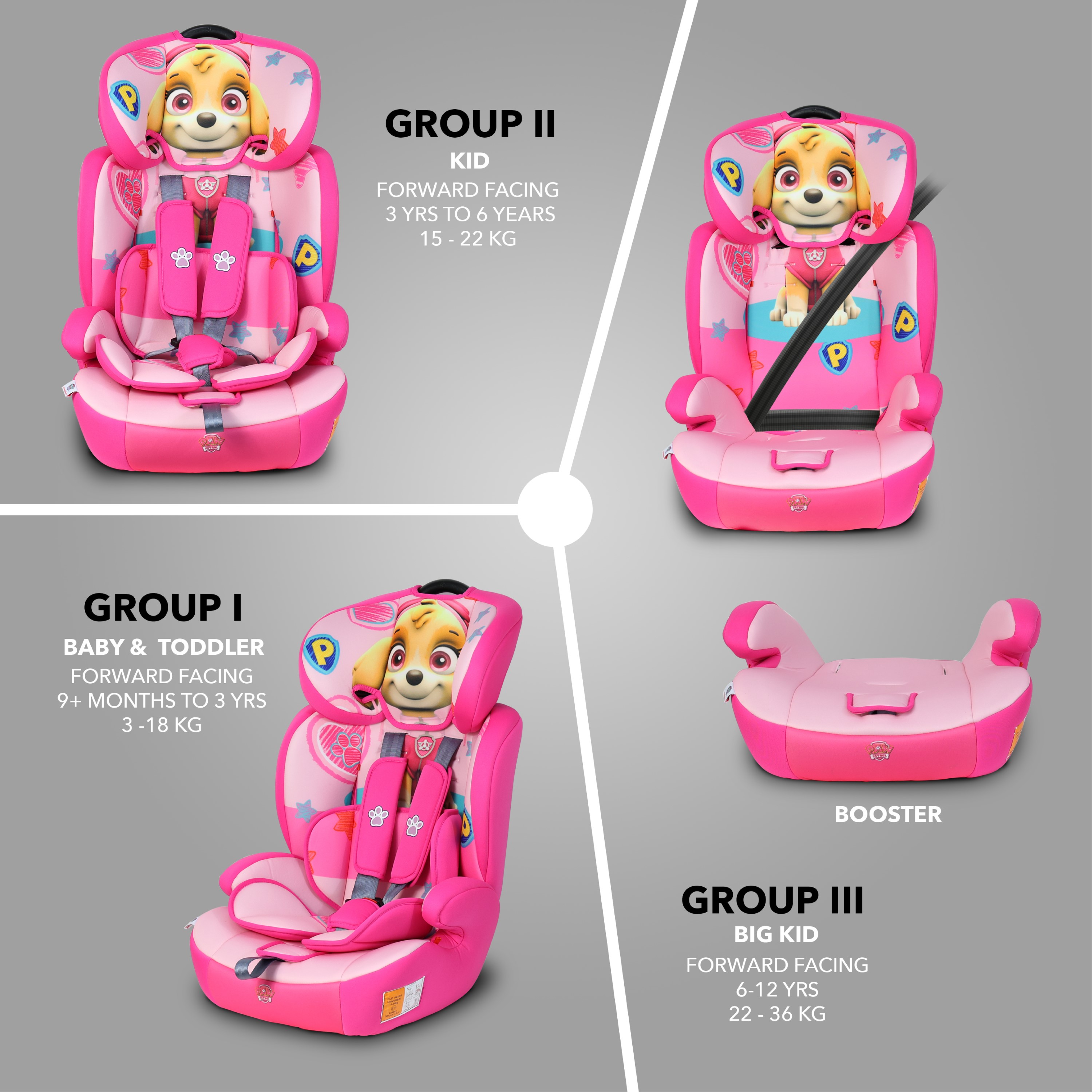 Paw patrol clearance skye car seat