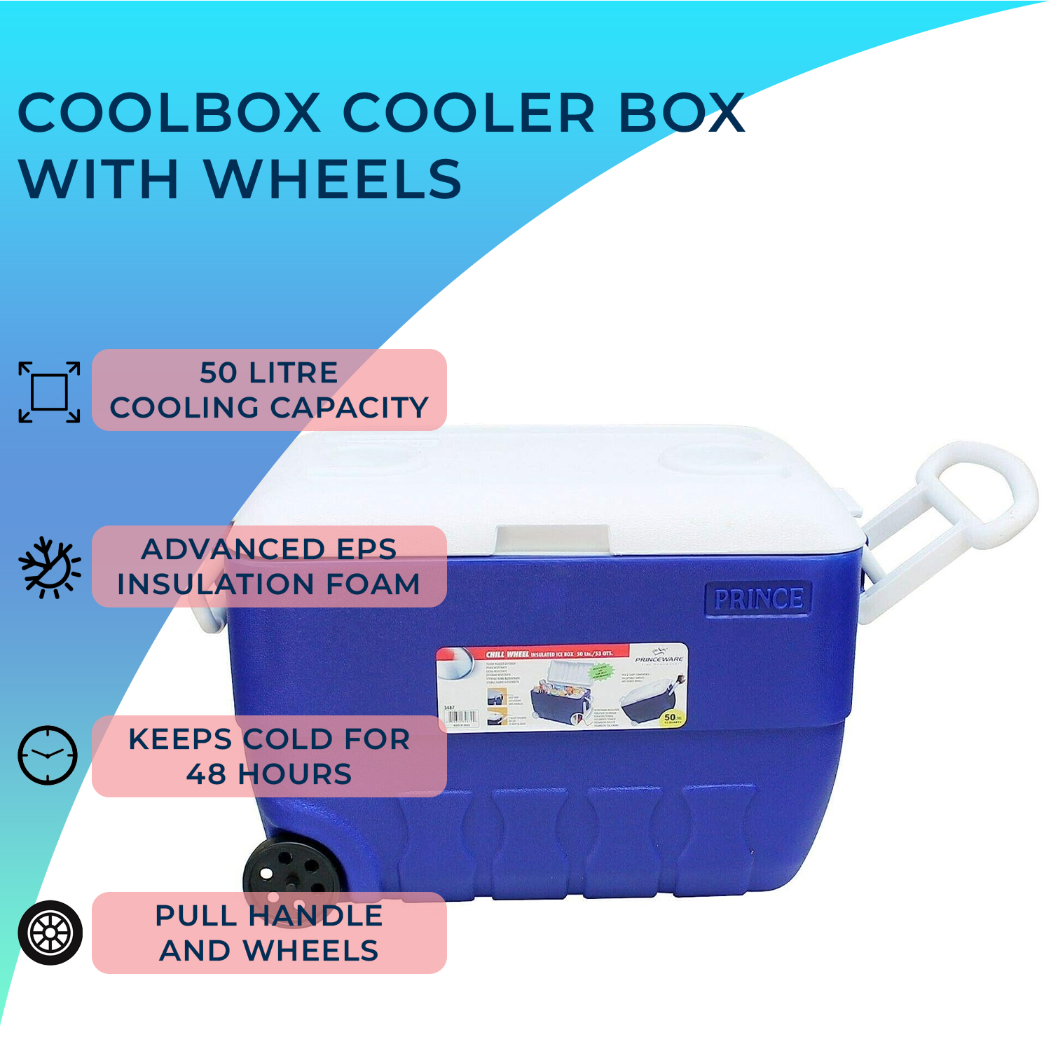 Ice box best sale 50 liter