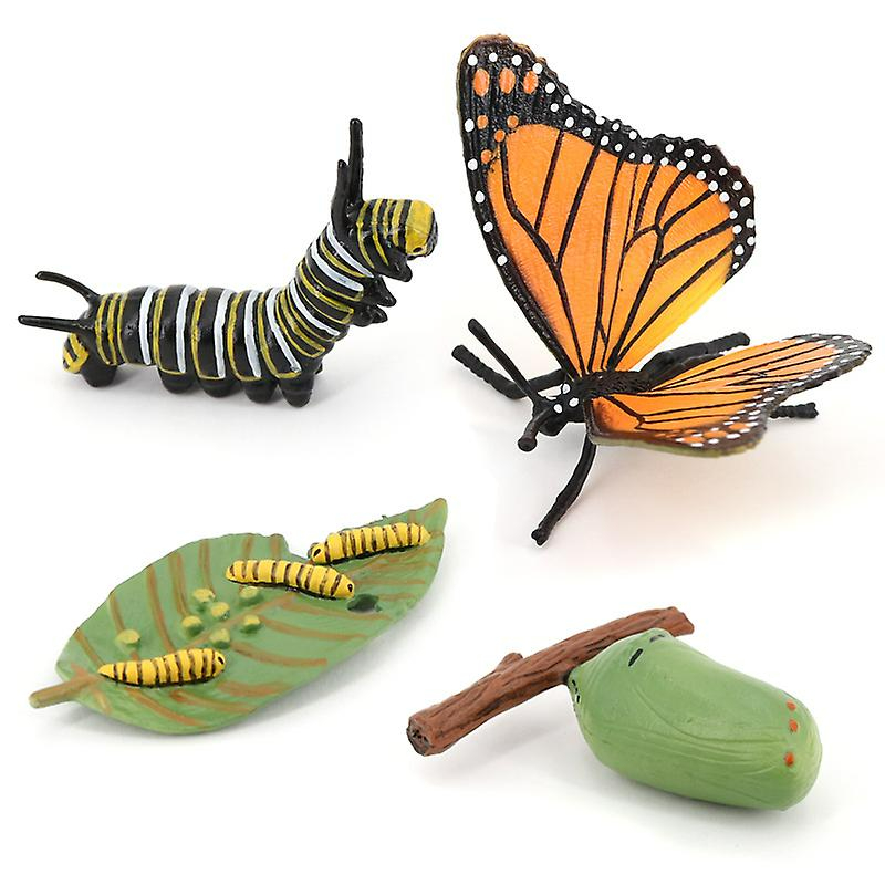 Simulated Arthropod Life Cycle With Butterfly Model Betterlifefg ...