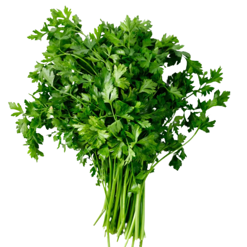 Fresh Produce Parsley Herb Uae 1 Kg 