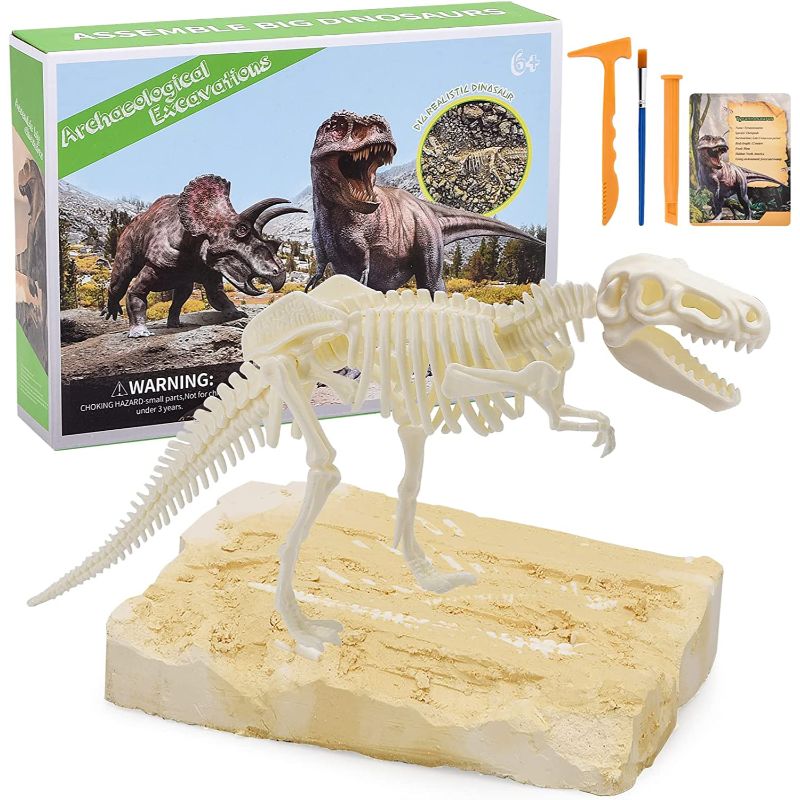 Dinosaur Fossil Digging Kit for Kids, Dig Up Dinosaurs Skeleton Set ...