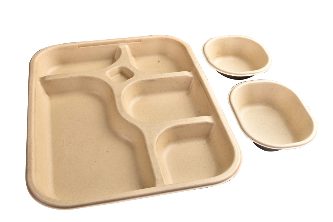 5 Best Eco Friendly Disposable Plates-GangXuan